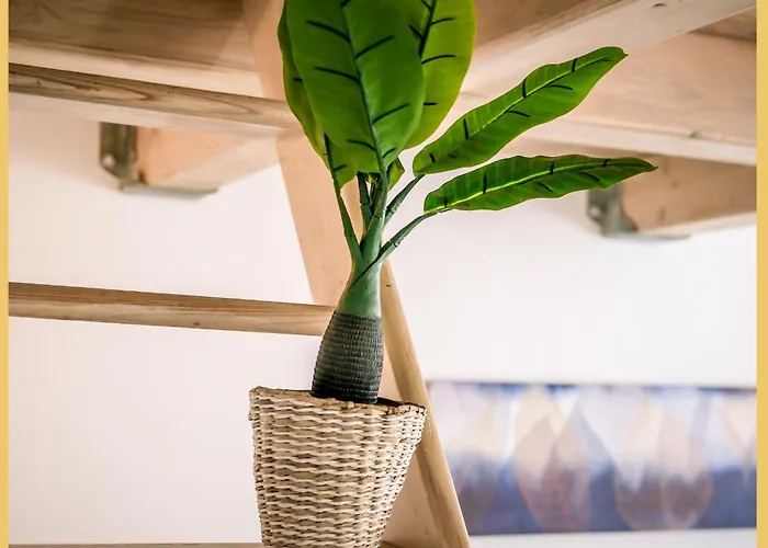 Apartamento Chez Amel & Val I T2 I
