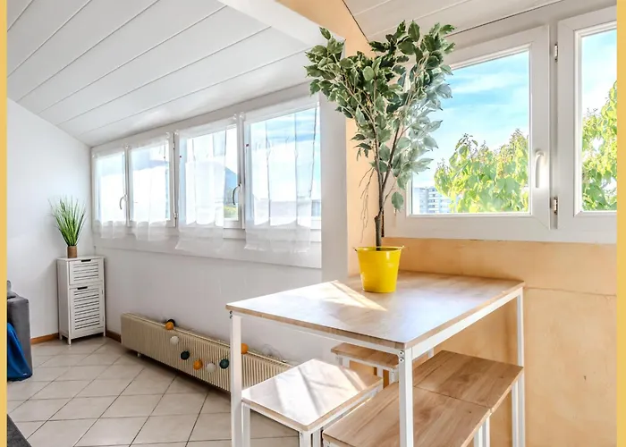 Chez Amel & Val I T2 I Apartamento Annemasse