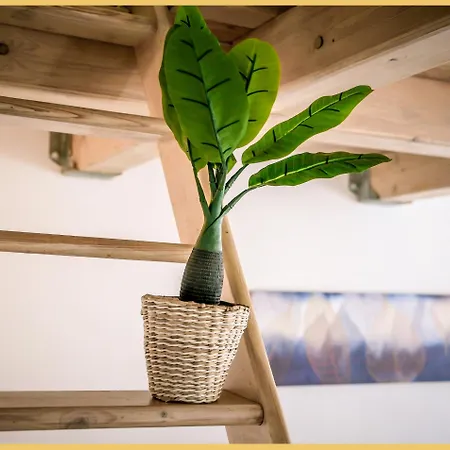 Appartement Chez Amel & Val I T2 I